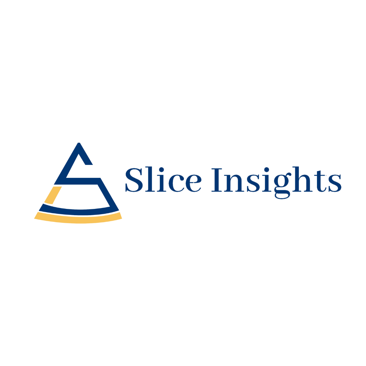 Slice Insights - Best Digital Marketing Company.